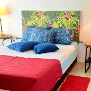 Apartamento Comp Independiente Tranquilo Ubicacion 5 Apartamento